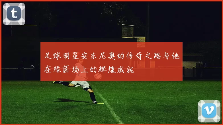 足球明星安东尼奥的传奇之路与他在绿茵场上的辉煌成就