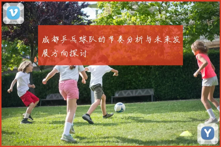 成都乒乓球队的节奏分析与未来发展方向探讨