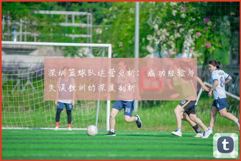 深圳篮球队运营分析：成功经验与失误教训的深度剖析
