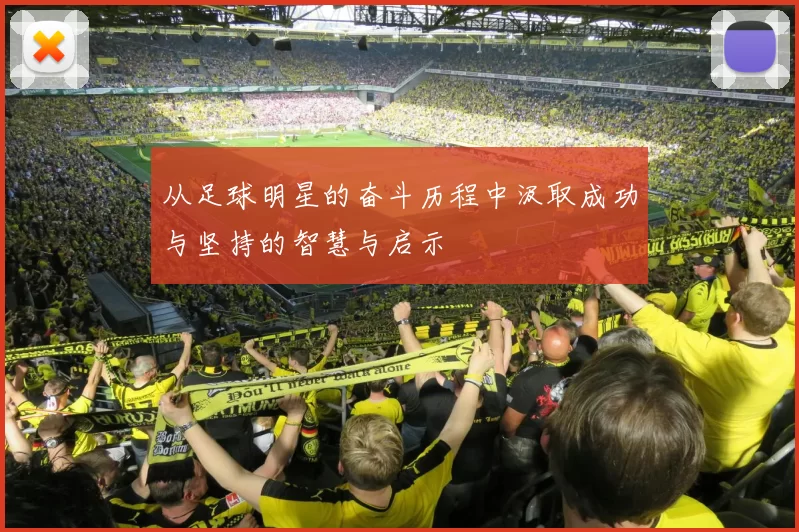 从足球明星的奋斗历程中汲取成功与坚持的智慧与启示