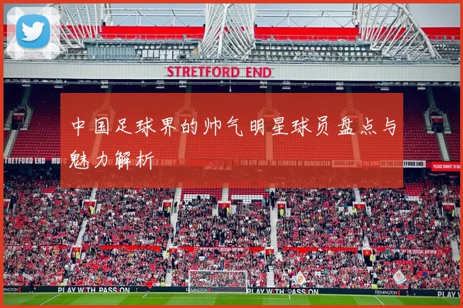 中国足球界的帅气明星球员盘点与魅力解析