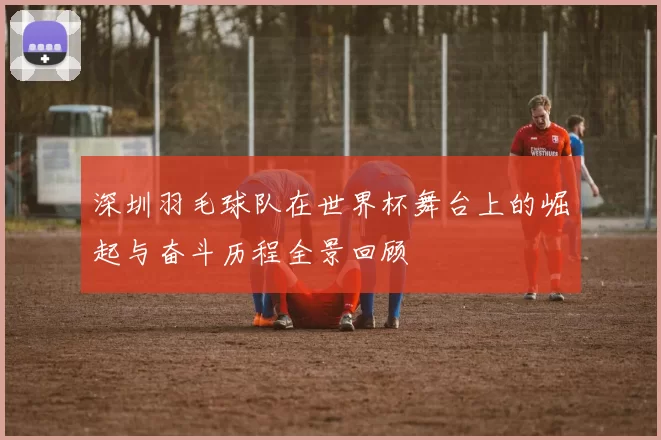 深圳羽毛球队在世界杯舞台上的崛起与奋斗历程全景回顾