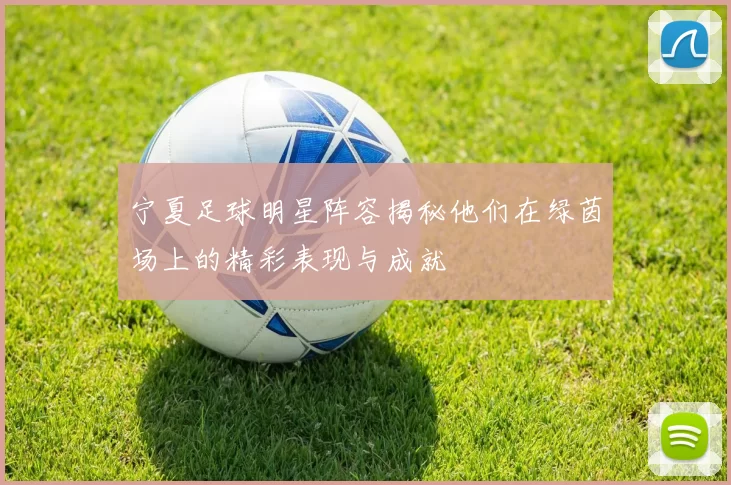 宁夏足球明星阵容揭秘他们在绿茵场上的精彩表现与成就