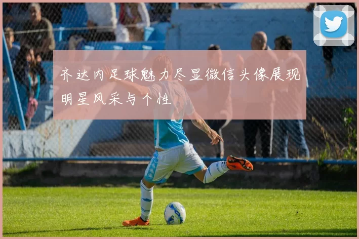 齐达内足球魅力尽显微信头像展现明星风采与个性